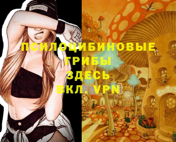 эйфоретик Богданович