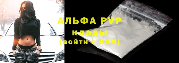 эйфоретик Богданович