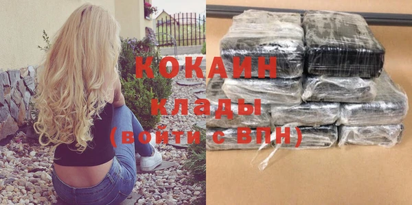 эйфоретик Богданович