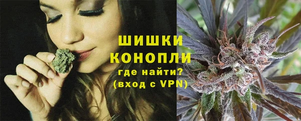 спайс Богородицк