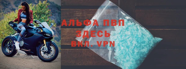 эйфоретик Богданович